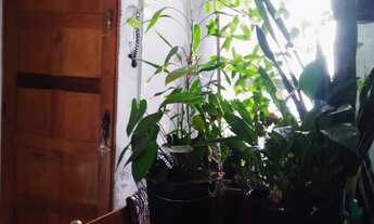 Imagem 5: 2 dormitórios, 1 banheiros, 1 vaga na garagem, 1M² de Área Construída, 1M² de Área Total