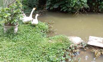 Imagem 7: 860M² de Área Total