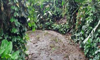 Imagem 5: Terreno à venda no Jardim Colombo com 900m²