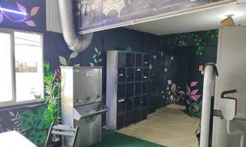 Imagem: Galpão à venda em São Paulo-SP, Bela