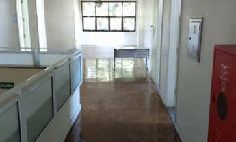 Imagem 4: Oportunidade Imperdível: Prédio Comercial à Venda em Indianópolis, São Paulo - SP - 1.650m