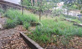 Imagem 4: Pacaembu - Terreno com 14,50 x 34,95 (506 m²)