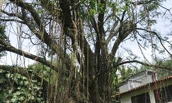 Imagem: Terreno à venda na Vila Andrade, São Paulo-SP