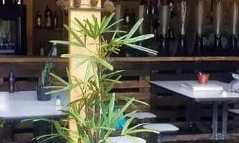 Imagem 4: Terreno à venda no Jardim Dom José com 3370m²