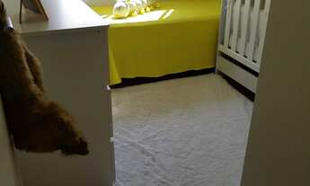 Imagem 4: Seu paraíso está na Mooca