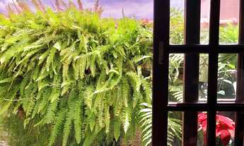 Imagem 4: Casa à venda em São Paulo, Vila Matilde: 3 quartos, 3 suítes, 5 banheiros, 6 vagas de gara