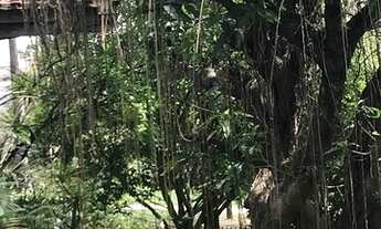 Imagem 2: Terreno à venda na Vila Andrade, São Paulo-SP: 760m² de oportunidade imperdível!