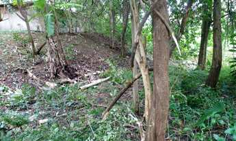 Imagem 2: Terreno à venda em São Paulo - Vila Alpina 2.000m² de área - Oportunidade Única!