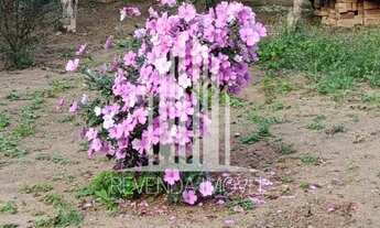 Imagem 2: Casa de luxo à venda em São Paulo-SP, Tremembé: 3 quartos, 3 suítes, 2 salas, 5 banheiros