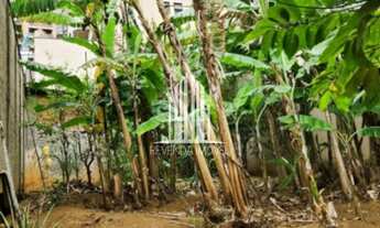 Imagem: Terreno à venda em Santana, São Paulo-SP