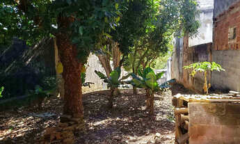 Imagem 5: Terreno à venda na Vila Pierina com 864m²