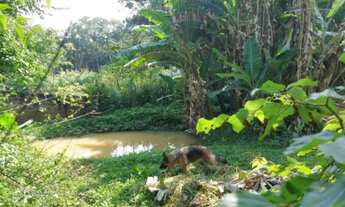 Imagem 6: Chácara à venda no Sítio Represa com 5.000m² 8 dormitórios 9 banheiros 12 vagas