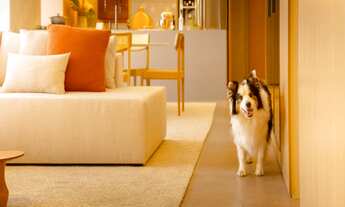 Imagem 7: Alto Padrão com 3 suites, lazer completo no Alro de Pinheiros