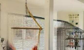 Imagem: Oportunidade única Casa à venda em SP