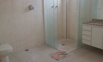 Imagem 3: Sobrado com 4 Dorms, 2 Suítes, 4 Vagas no alto da lapa