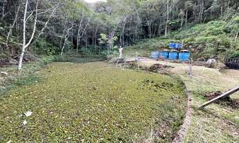 Imagem 5: Chácara à venda no Jardim dos Eucaliptos 10000m² 1 suíte 4 banheiros