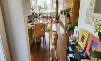 Imagem 3: EDIFICIO PANORAMA, PINHEIROS- APARTAMENTO DE 158m² COM 3 DORMITÓRIOS , 1 SUITE E 2 VAGAS Á