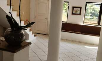 Imagem 4: Sobrado Comercial, 300M 8 salas