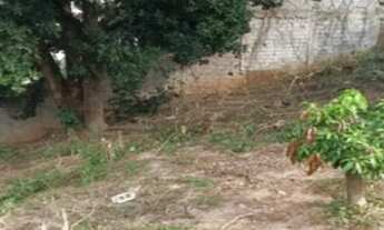 Imagem: Terrenos à venda no Jardim Leônidas Moreira