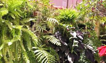 Imagem 3: Casa à venda em São Paulo, Vila Matilde: 3 quartos, 3 suítes, 5 banheiros, 6 vagas de gara