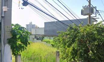 Imagem 5: Terreno na Zona Norte Vila Celeste de 1500 m²