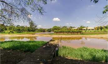 Imagem 7: Casa Divina de 450 m² c/ 4 Suítes na Vila Gustavo