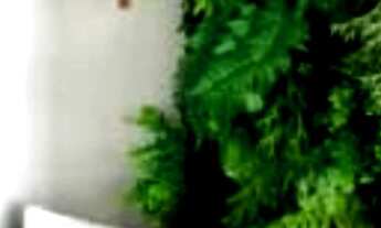 Imagem 3: House Jardim dos Namorados Studio Salvador Ba