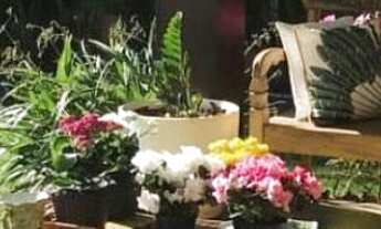 Imagem 5: INTERLAGOS 5 SUÍTES INFRAESTRUTURA R$ 3.800.000,00 SALVADOR BA