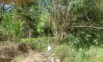 Imagem 6: EXCELENTE TERRENO 1086,40 M² ótima topografia - Vista para a Serra do Japi