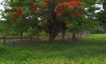 Imagem 6: Sítio à venda em Jacutinga MG - 30.000 m², Rio Mogi Guaçu, casa de alto padrão e lazer com