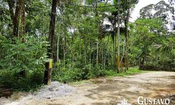 Imagem: Terreno - Penedo