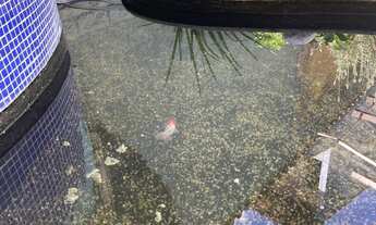 Imagem 4: Casa - Morada da Granja