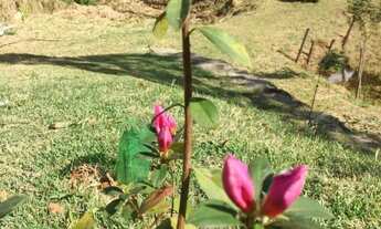 Imagem 3: Chácara - Amparo