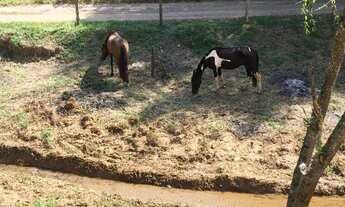 Imagem 2: Chácara - Amparo