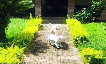 Imagem 2: Casa - Mendes Casa com 4 dormitórios