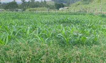 Imagem 2: Terreno - Vargem Alegre