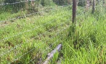 Imagem 2: Terreno - Vargem Alegre