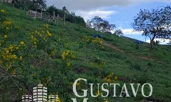 Imagem: Terreno - Vila Bom Jardim ( Bananal