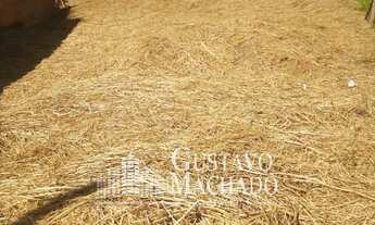 Imagem: Terreno - Barra Mansa