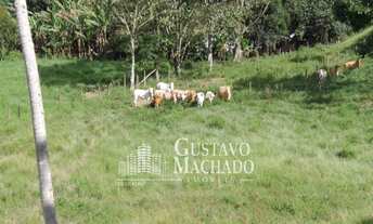 Imagem: Fazenda - Dorandia