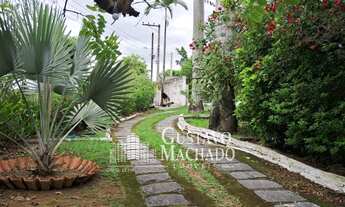 Imagem 6: Chácara - Barra Mansa