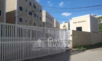 Imagem: Apartamento - Barra Mansa