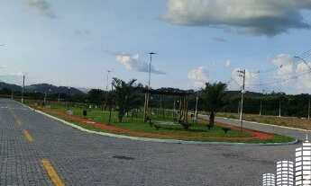 Imagem: Terrenos - Arvoredo