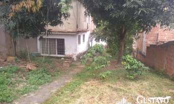 Imagem: Terreno - Mangueira