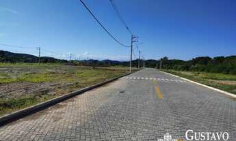 Imagem 4: Terrenos - Arvoredo