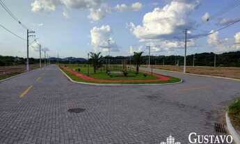 Imagem 5: Terrenos - Arvoredo