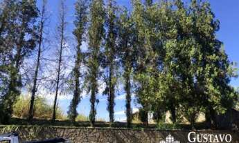 Imagem: Terreno - Santa Rosa