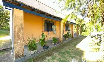 Imagem 7: Chácara - Arrozal