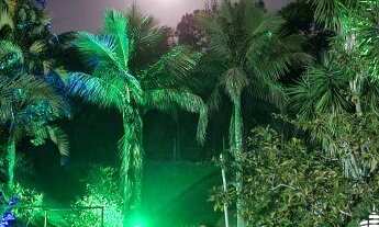 Imagem 5: Sítio - Arrozal