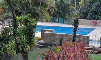 Imagem 3: Sítio - Arrozal